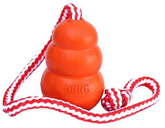 kong aqua large 1