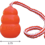 kong aqua large 2