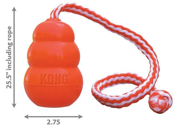 kong aqua large 2