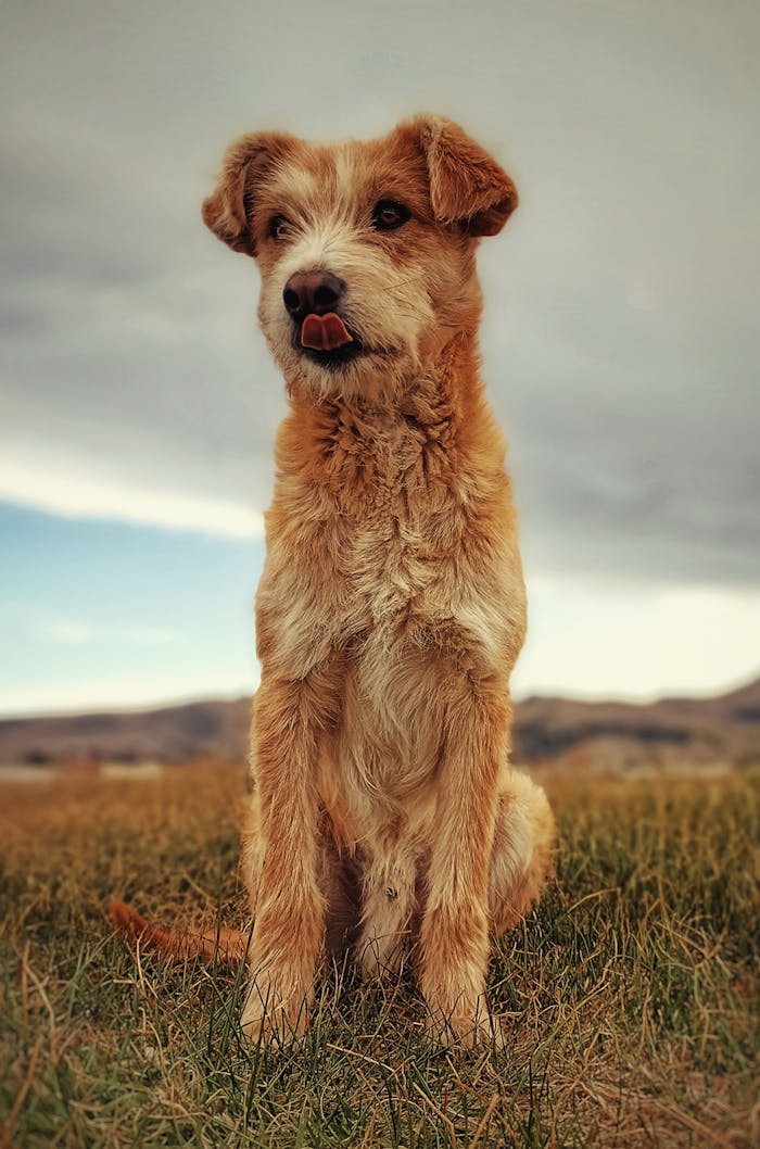 Home Friend 17046862