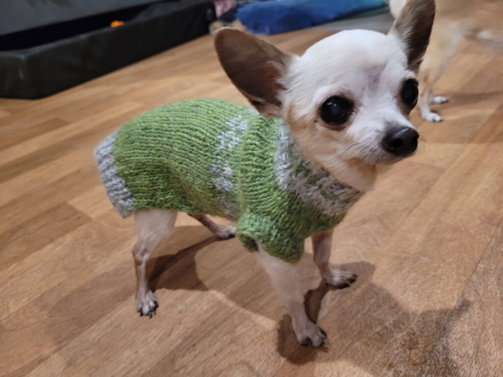 Senior DingDing Senior DingDing