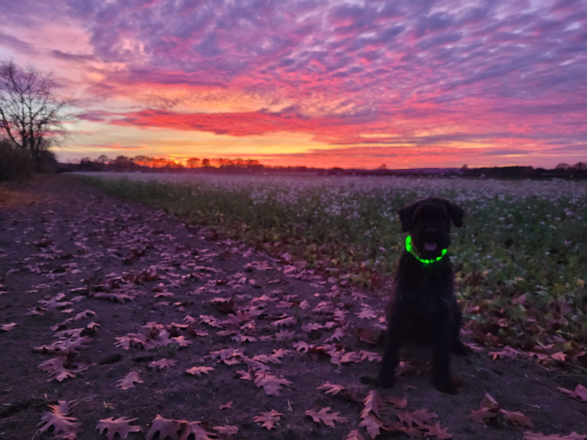 whatsapp image 2026 01 03 at 14.18.10