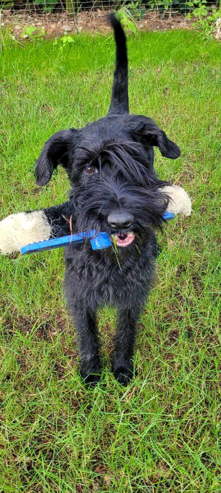 whatsapp image 2026 01 03 at 14.18.32 (1)