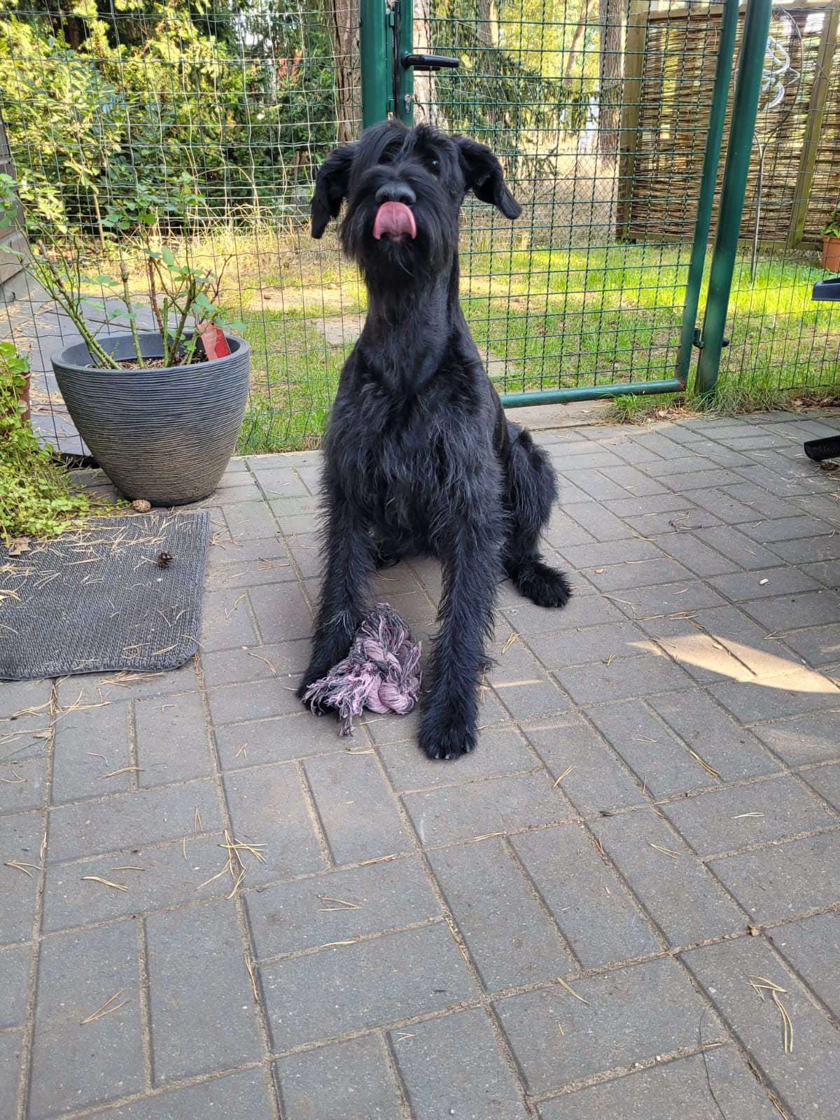 whatsapp image 2026 01 03 at 14.18.32 (2)