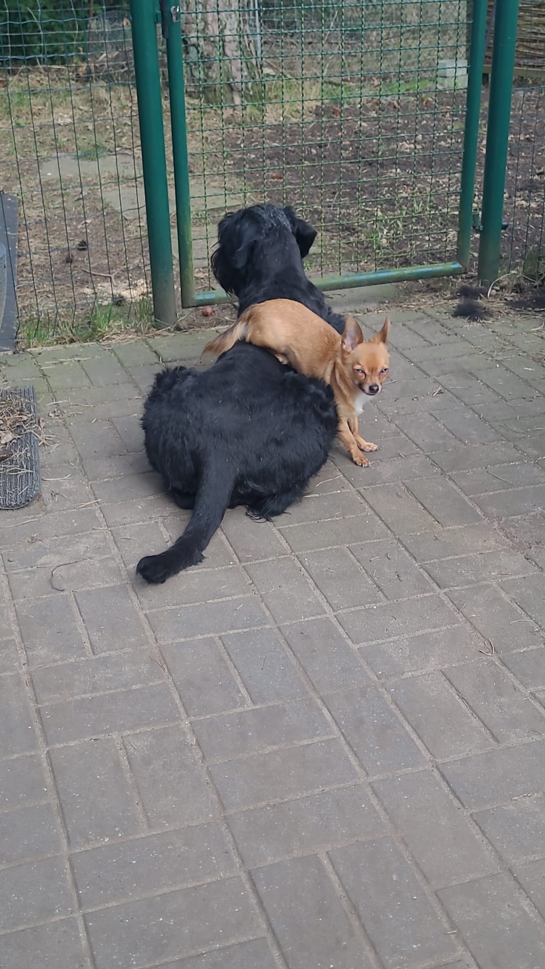 whatsapp image 2026 01 03 at 14.18.32 (4)