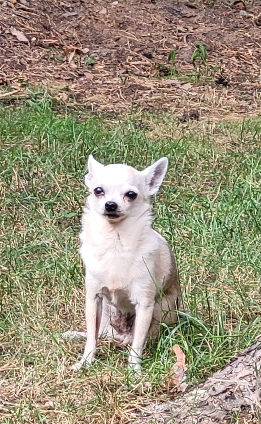 whatsapp image 2026 01 03 at 14.18.32 (5)