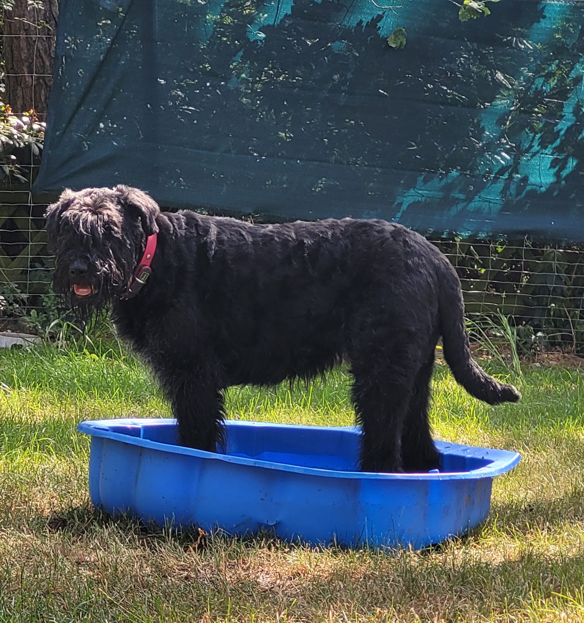 whatsapp image 2026 01 03 at 14.18.33 (1)