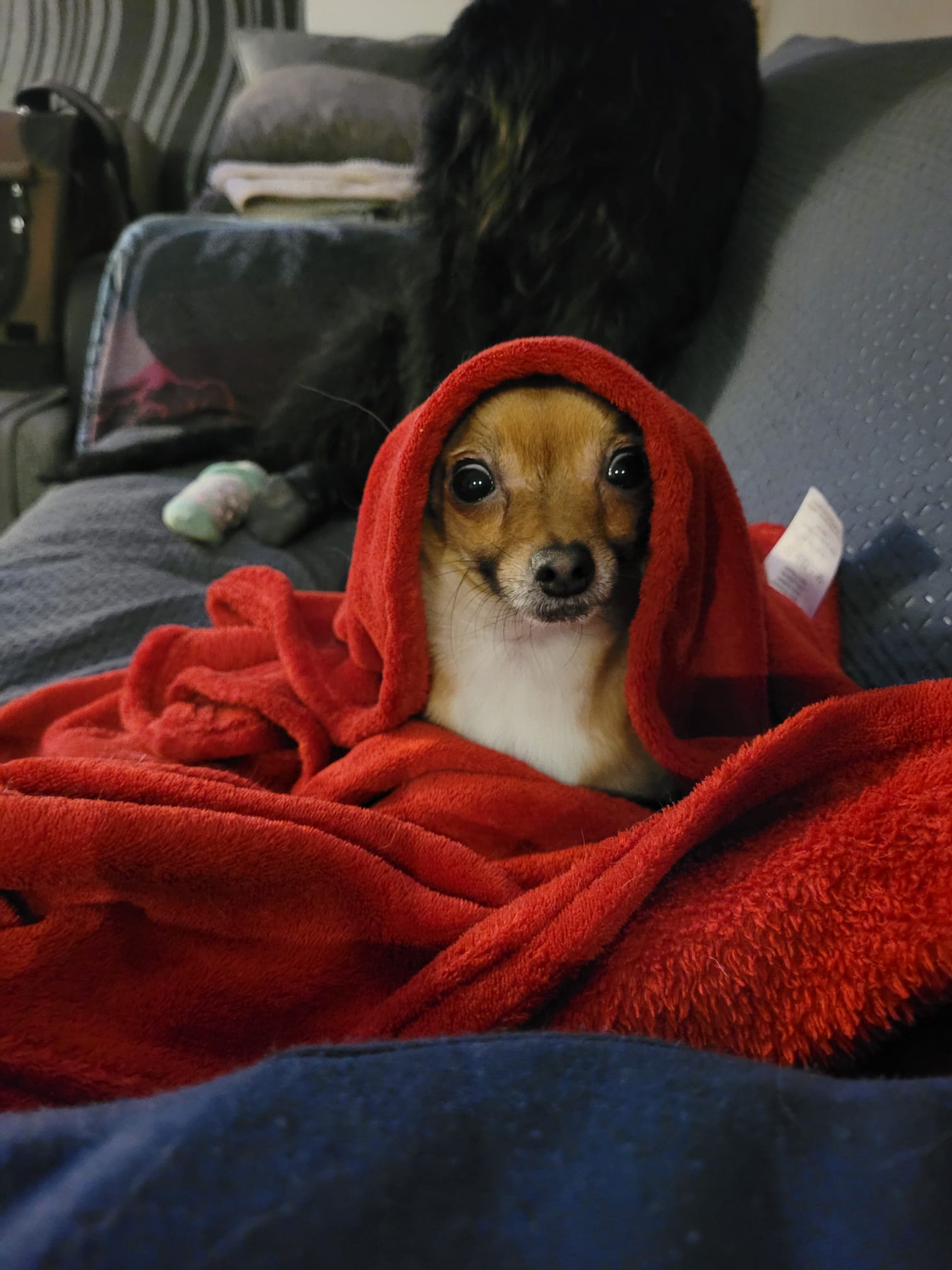 whatsapp image 2026 01 03 at 14.18.35 (6)